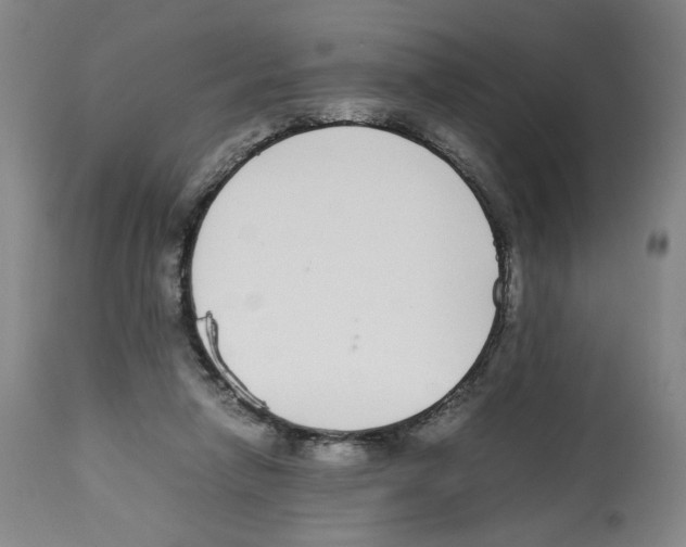 X0000112470258200909281053