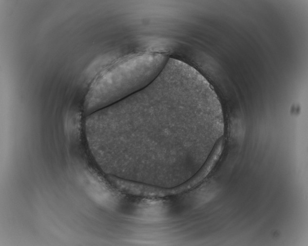 X0000112470260200909281053
