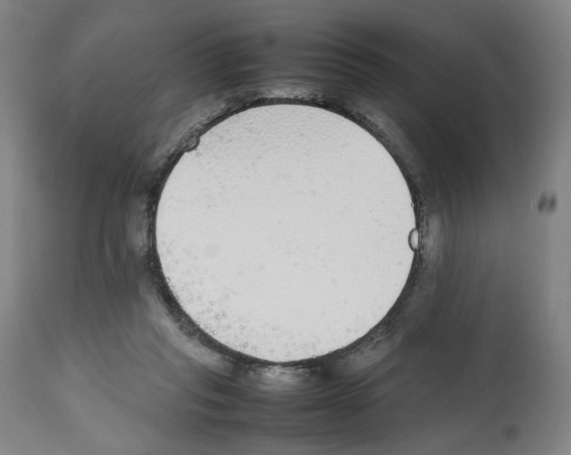 X0000112470261200909281053