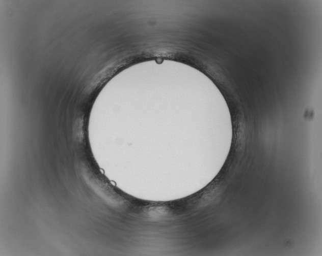 X0000112470262200909281053