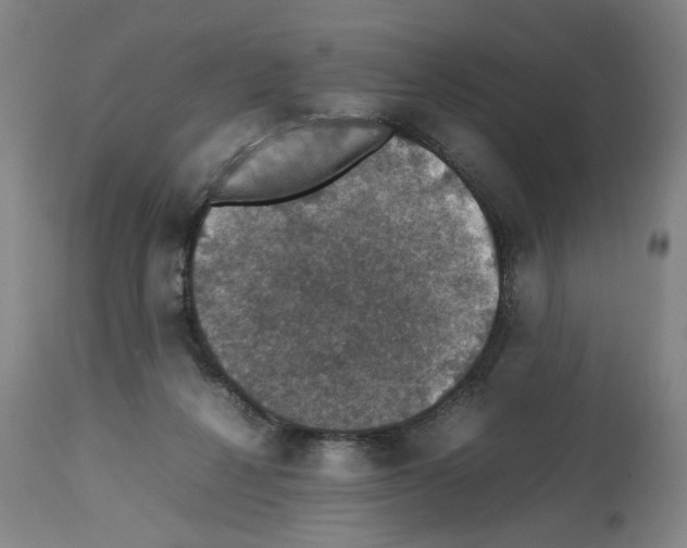 X0000112470264200909281053