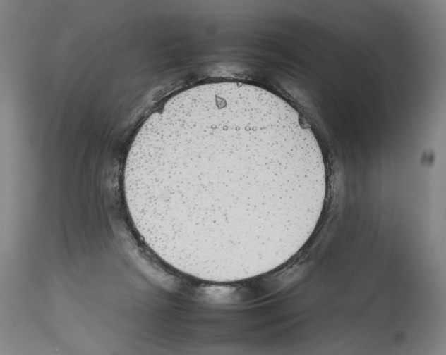X0000112470265200909281053