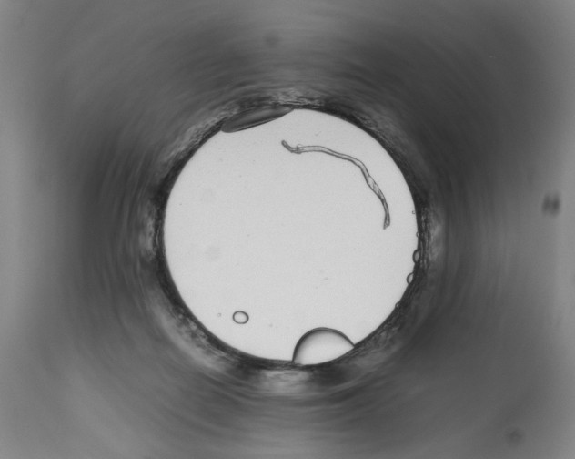 X0000112470266200909281053