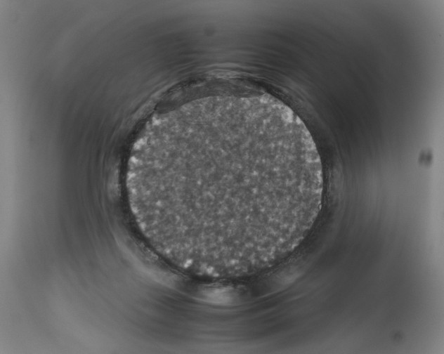X0000112470267200909281053