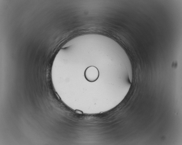 X0000112470268200909281053