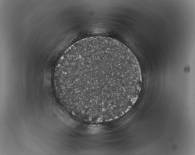 X0000112470269200909281053