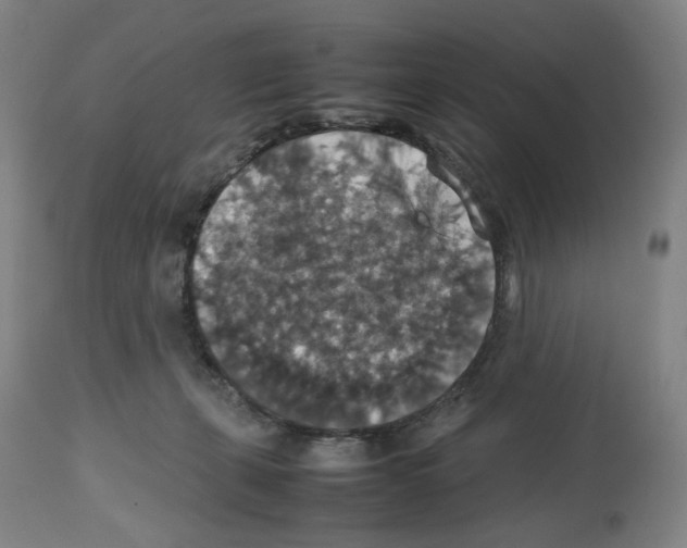 X0000112470271200909281053