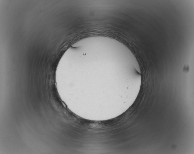 X0000112470272200909281053