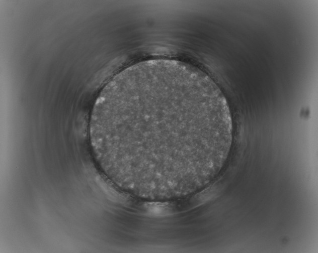 X0000112470273200909281053