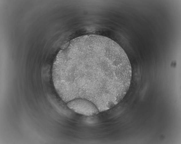 X0000112470275200909281053