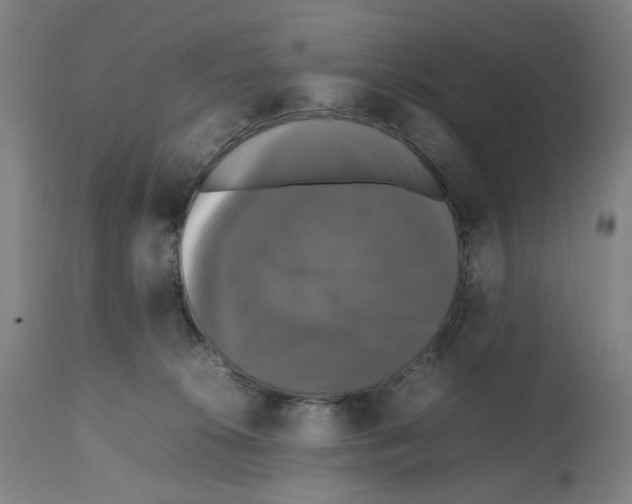 X0000112470276200909281053