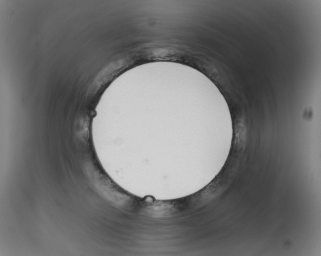 X0000112470278200909281053