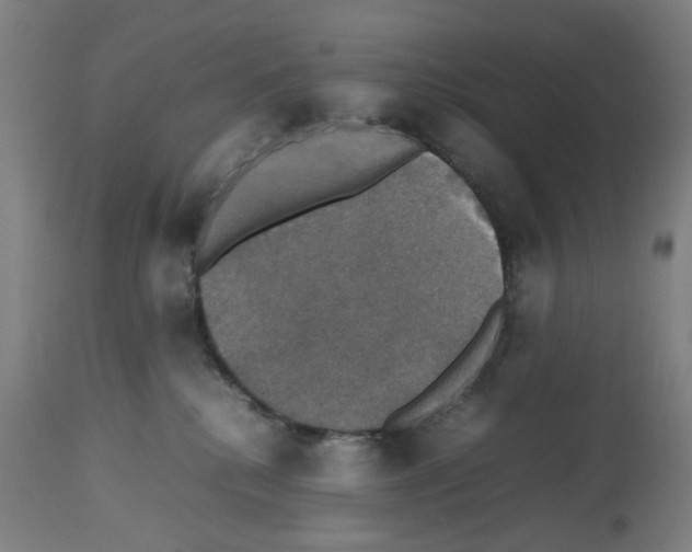 X0000112470280200909281053