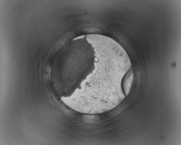 X0000112470281200909281053