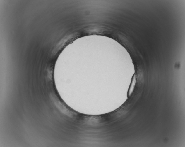 X0000112470282200909281053