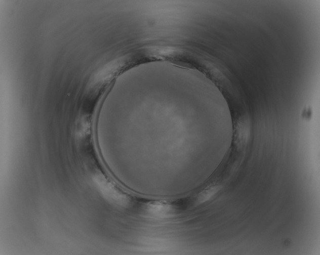 X0000112470284200909281053