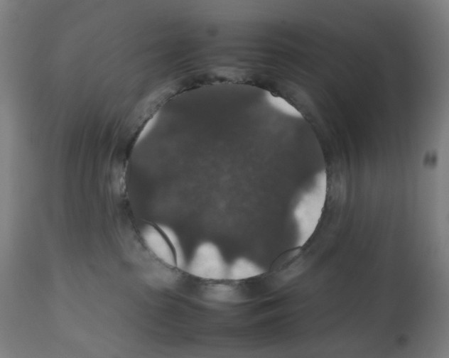 X0000112470285200909281053