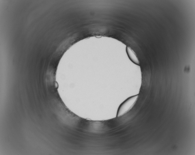 X0000112470287200909281053