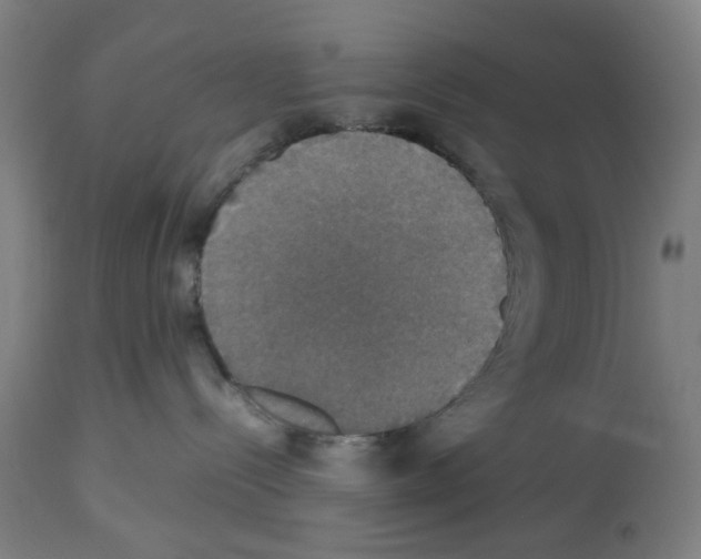 X0000112470288200909281053