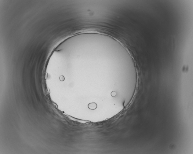 X0000112470289200909281052