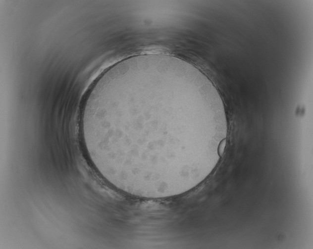 X0000112470290200909281052