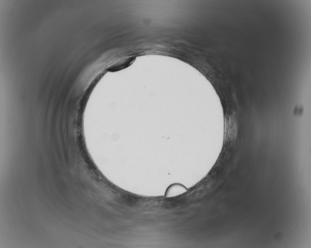 X0000112470291200909281052