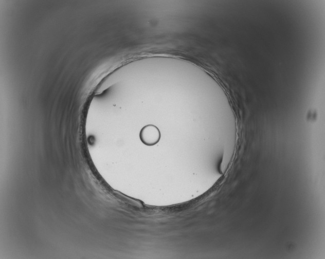 X0000112470293200909281052