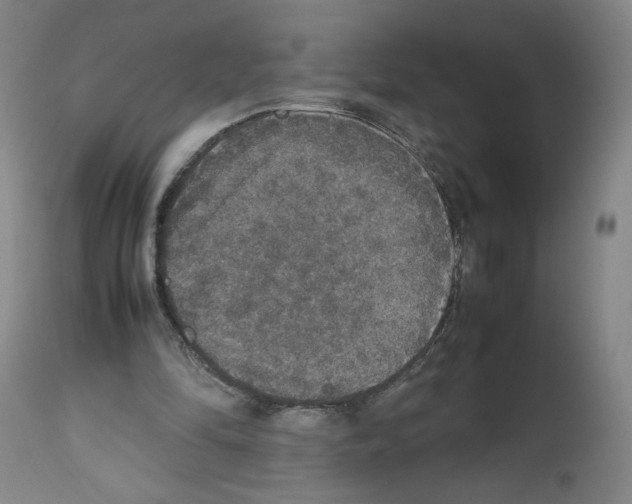 X0000112470294200909281052