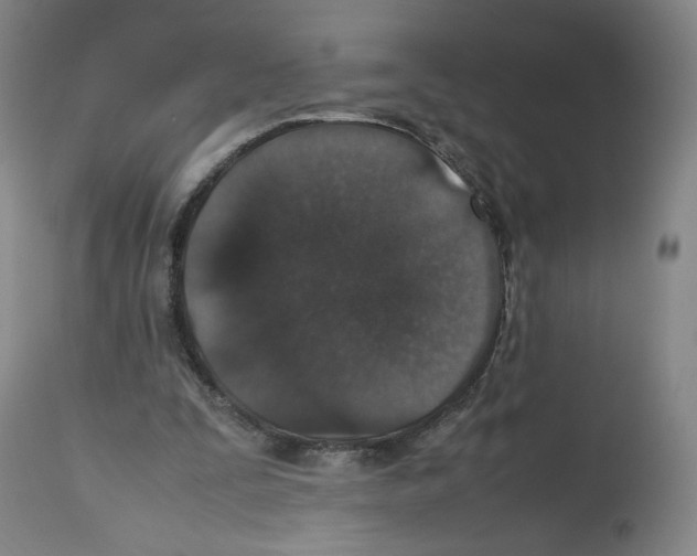 X0000112470295200909281052