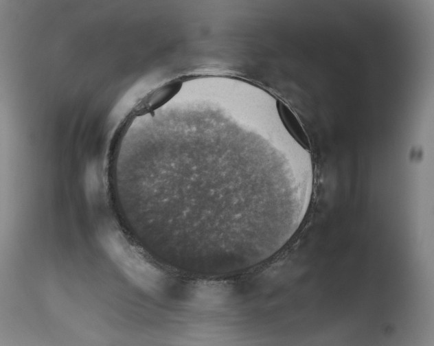 X0000112470296200909281052