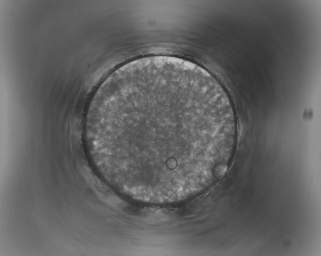 X0000112470297200909281052