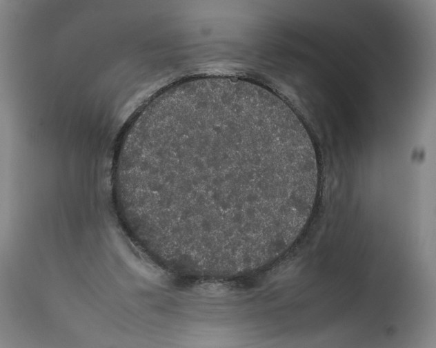 X0000112470299200909281052