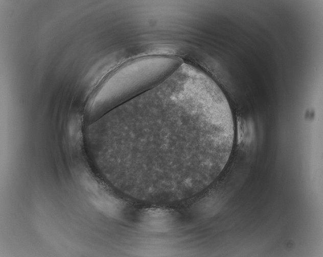 X0000112470300200909281052