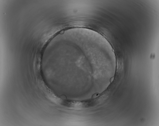 X0000112470301200909281052