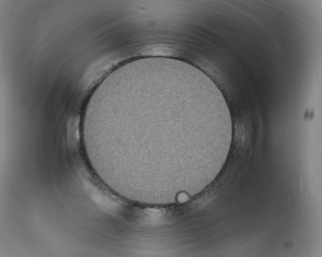 X0000112470302200909281052