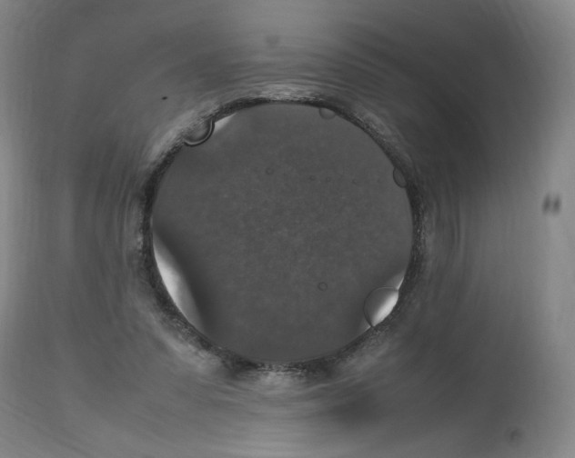 X0000112470303200909281052