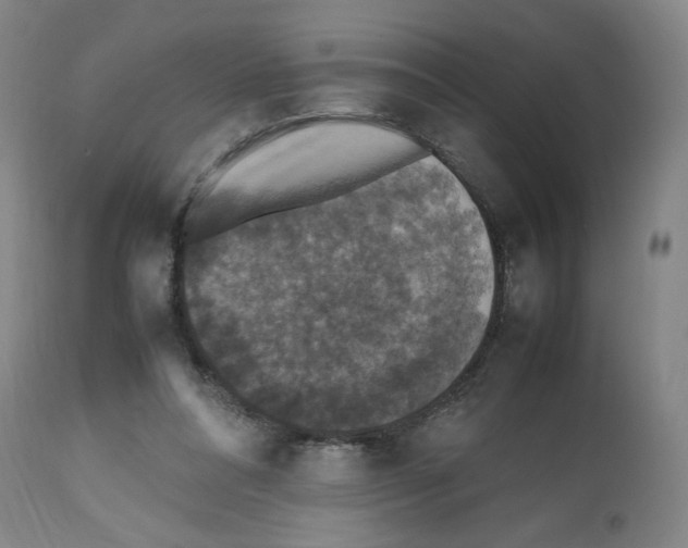 X0000112470304200909281052