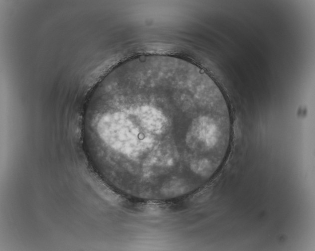 X0000112470305200909281052