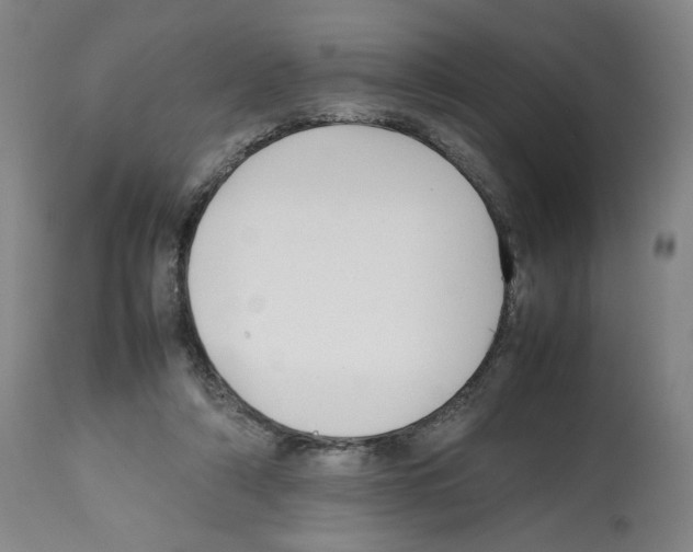 X0000112470306200909281052