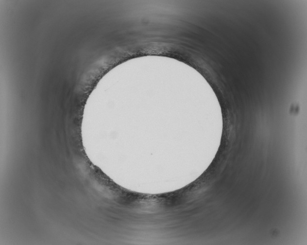 X0000112470307200909281052