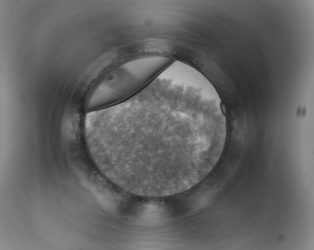 X0000112470308200909281052
