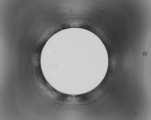 X0000112470311200909281052