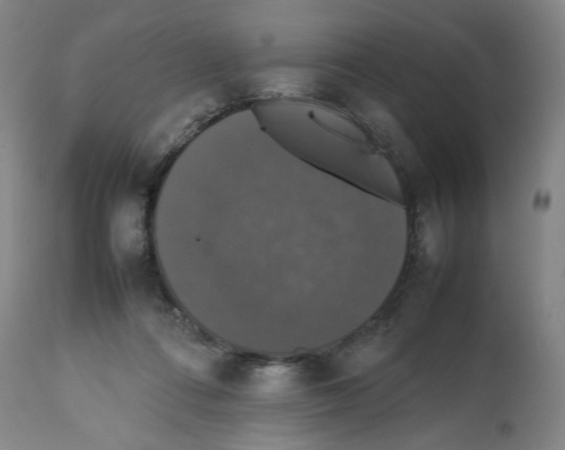 X0000112470312200909281052