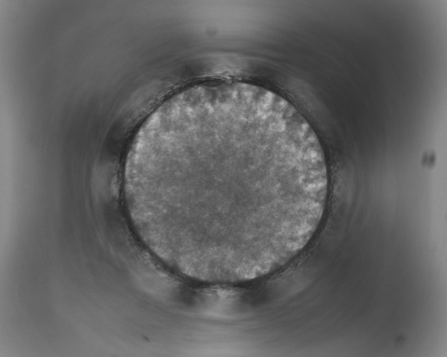 X0000112470313200909281052