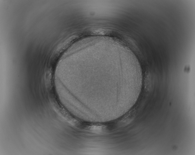 X0000112470314200909281052