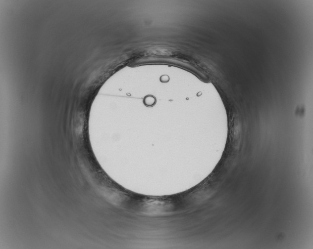 X0000112470315200909281052