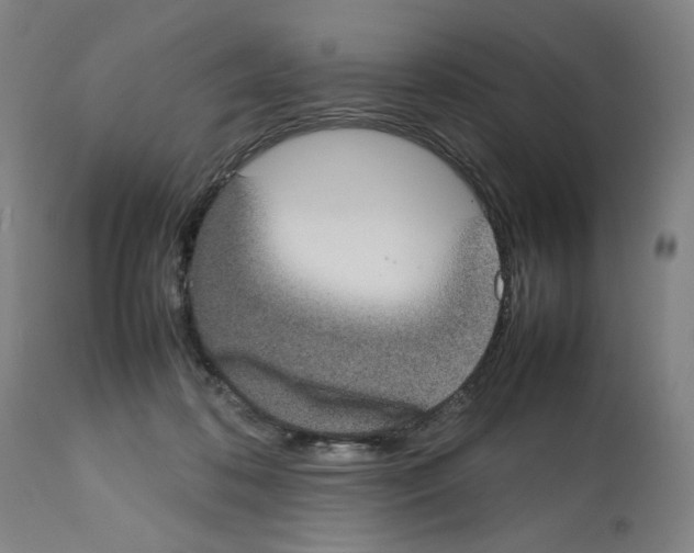X0000112470316200909281052