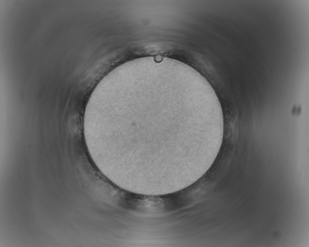 X0000112470317200909281052