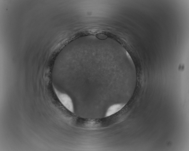 X0000112470319200909281052