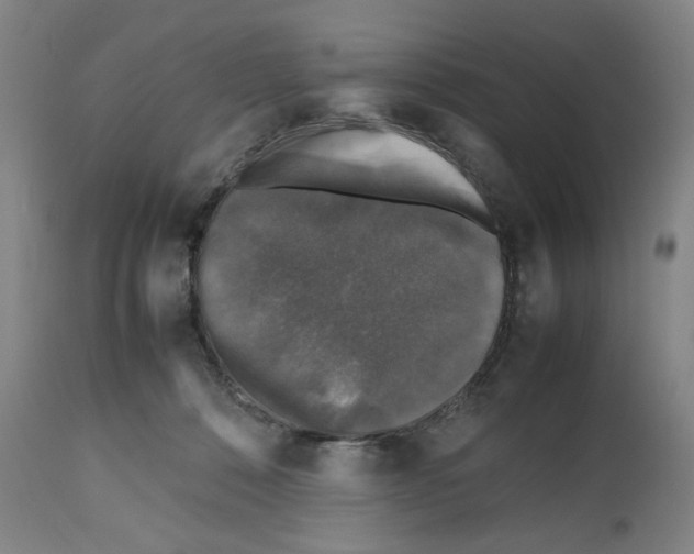 X0000112470320200909281052